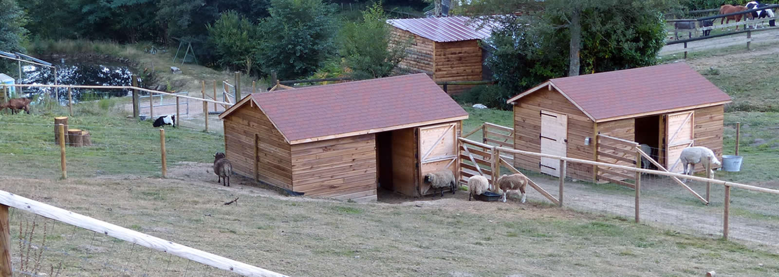 Vue en plongée chêvres, moutons et alpagas près de leurs écuries, on apperçoit des chevaux et un âne plus loin